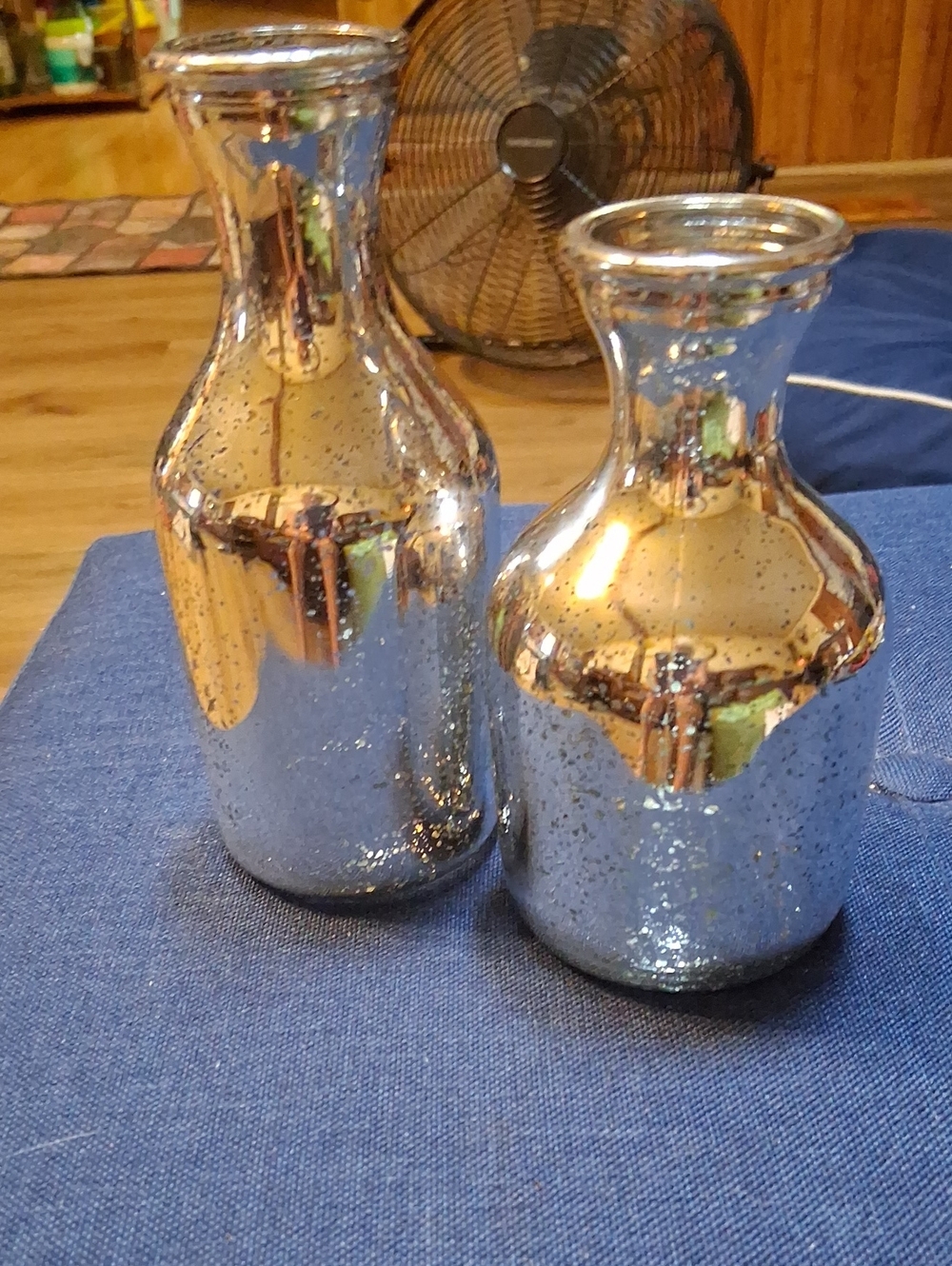 Silver Mercury Glass Vase Duo - Reflective Accent Pair
